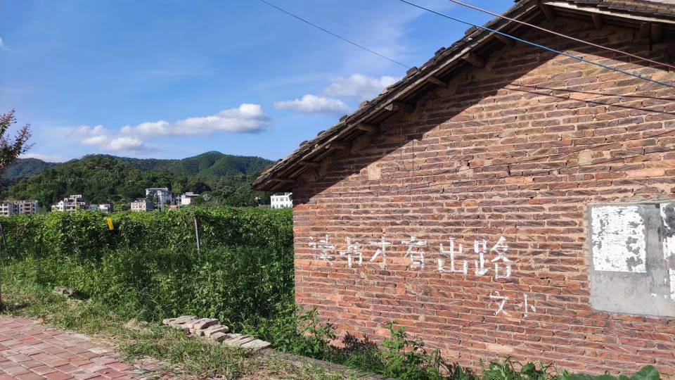 新农村建设插图28