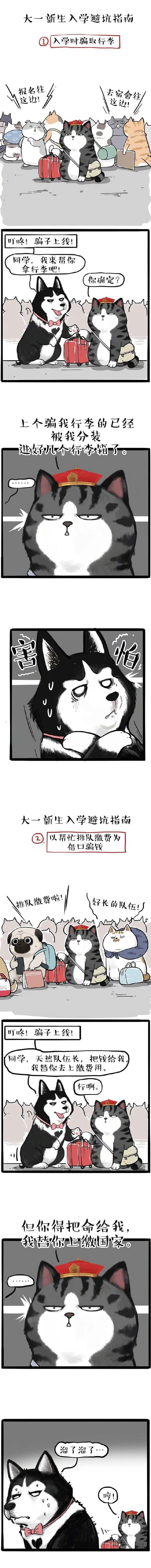 新农村建设插图20