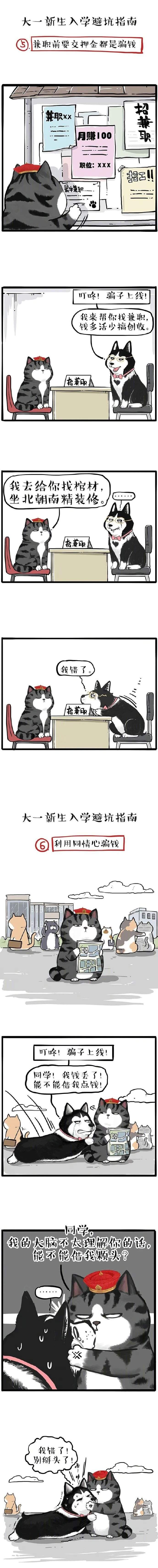 颜控的天空插图11