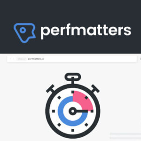 Perfmatters 汉化版【v2.1.1】