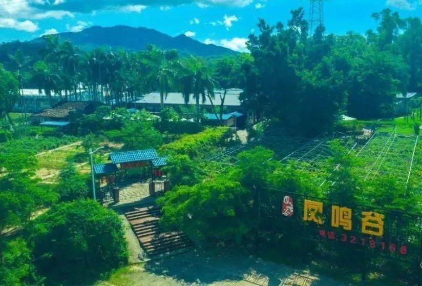 旅游攻略丨珠海农庄大全插图8