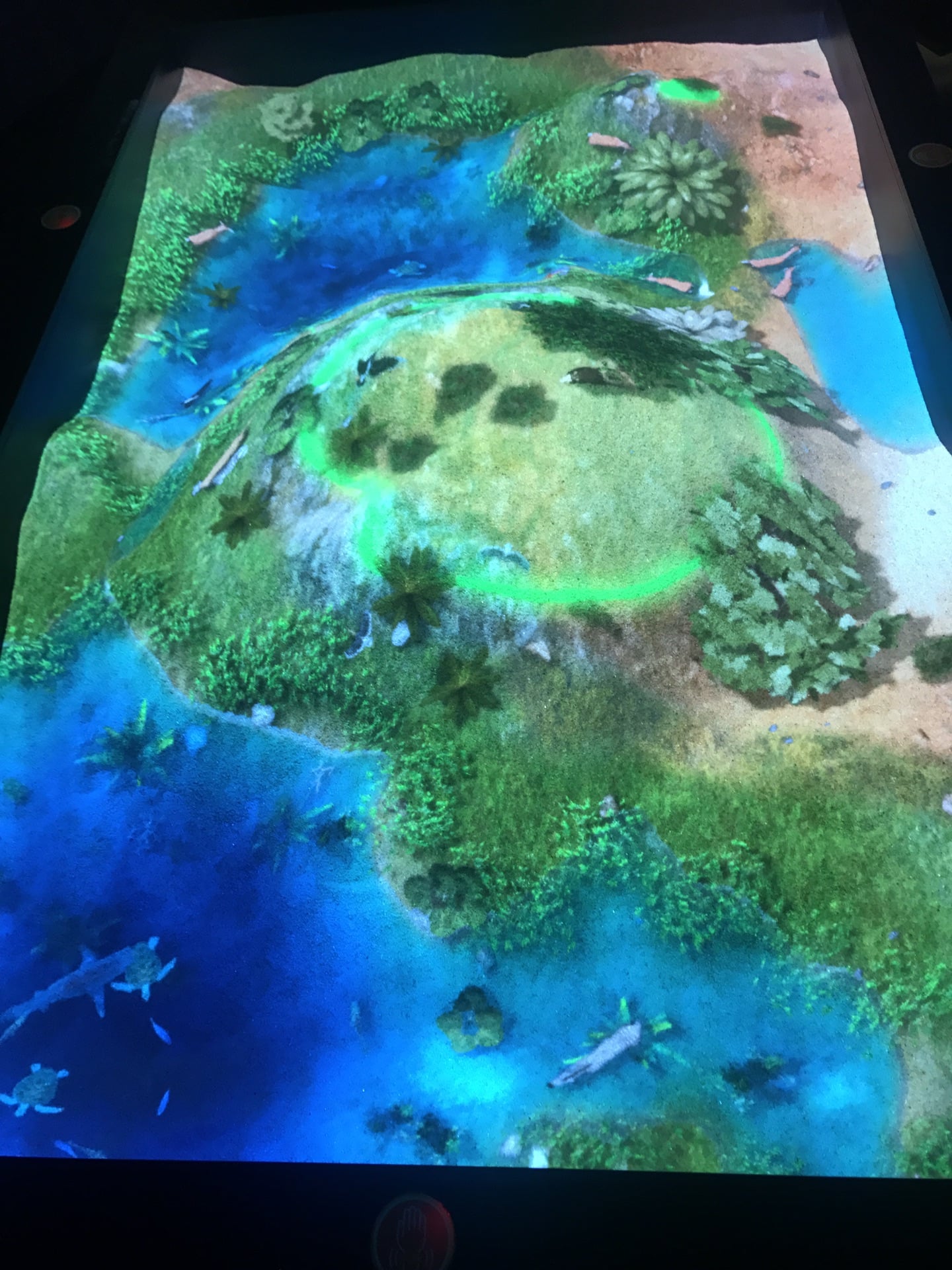 儿童节攻略丨探秘珠海横琴国家地理探险家中心插图14