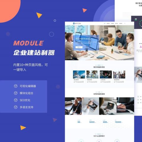 【推广】Module 主题