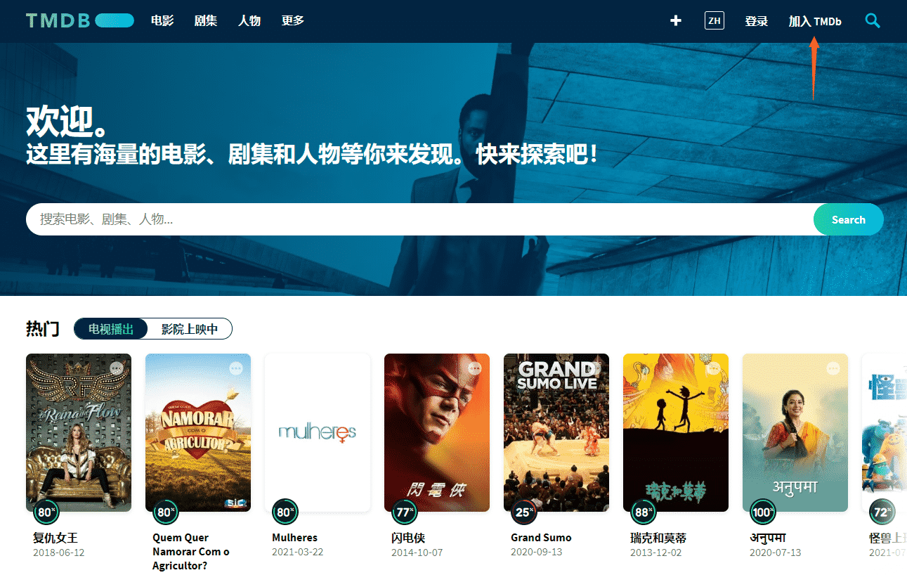 群晖Video Station自动搜索视频信息功能申请API设置教程插图
