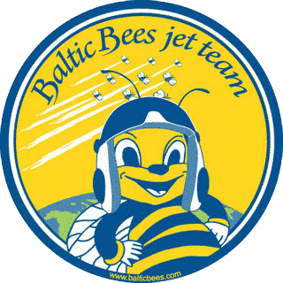 波罗的海“蜜蜂”飞行表演队插图2