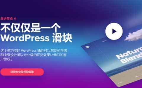 Slider Revolution 后台运行缓慢的解决办法