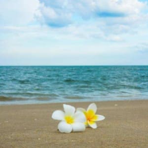 海边吃瓜Iris<span class="user-vip-flag"><span class="user-vip-flag-inner"><img class="user-vip-flag-icon j-lazy" src="https://www.ozss.com/wp-content/uploads/2024/06/platinum-badge.svg" alt="铂金" title="铂金"></span></span>的头像