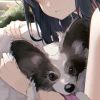 博主插图18